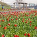 알퐁소농장 이미지