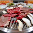 엉게나무 이미지