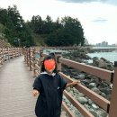 속초 가볼만한곳 :: [속초] - 보은상회/ 속초중앙시장간식거리/ 외옹치항바다향기로 속초추천여행지
