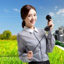 제주도정보사이트