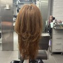 명동하이약국 | 하이용🩶