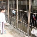 현명농장 이미지