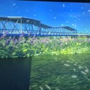 성성호수공원 이미지