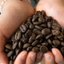 얼음골 봄 이미지