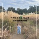 자연인힐링족욕 | [아기랑 제주도]DAY2 자연인제주족욕 체험 후기