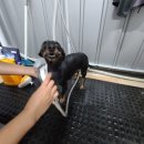 아인바스 이미지