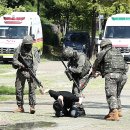 정부청사역 이미지