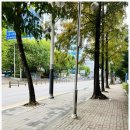 여자도 남자도 예외없는 두피걱정은 끝! 존스킨한의원에서 두피여드름과 모낭염,전문의와 해결해요!