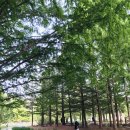 달그림자공원 이미지