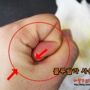 룰루랄라 PC 이미지