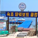 [장사마을]오징어해부체험 티스토리