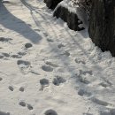 무궁화어린이집 | 👉쥬둥이엄마 주간일기｜26년 2월 첫째주 기록, 눈구경, 첫 유아체육수업, 어린이집 오티