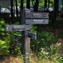 [서울] 화랑대 철도공원(불빛 정원) 이미지