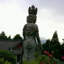 황령산 금성사 Daum카페
