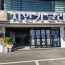 수복카클리닉 네이버블로그