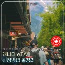 온라인)Live English(초중급) | 캐나다 밴프 여행 준비(4) | 캐나다 eTA 신청방법 총정리! - 질문 번역, 비용·승인 후기