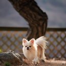 W&W(와앤와) 이미지