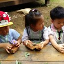 은영어린이집 이미지