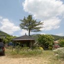 기화농장 이미지