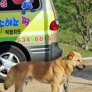 황구네 Daum카페