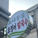 소나무 | 도안동 소나무집 오징어 칼국수와 두부부침 리뷰