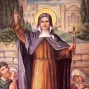 로사의집 이미지