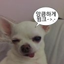 사주세요 네이버블로그