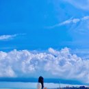 용천목장 이미지