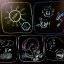 (주)셀젠큐어 | 2019년 글로벌 제약바이오 &#39;5가지 관전 포인트&#39;