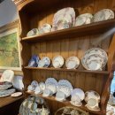 카페 바이올렛 이미지