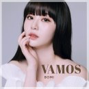 보미