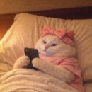 GS25 의정신곡점 | 2026. 3월 일상 (4)