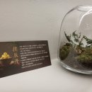 분당마중한의원 이미지