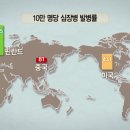 차이니스루
