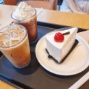 투썸플레이스 아산터미널점 이미지