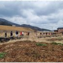 천마태권도장 이미지