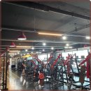 더 핏포유 | 핏포유 핏네스 체험 후기, 전문성과 따뜻함이 매력인 환상적 공간