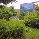 판교로156번길 이미지