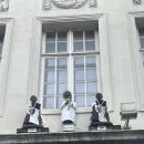 동상세탁 이미지