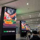 명차무역 | 제 24회 서울카페쇼 코엑스 방문 후기