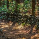 호텔힐링 이미지