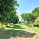 김종철농장 이미지