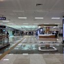 베리은여행 : 엄마랑 3박4일 겨울 부산여행일기 첫째날, 초량밀면 개미집 해운대파라다이스 후기