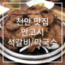 안고시 이미지