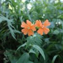 숲속의하루 이미지