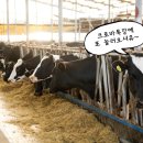 크로바농산물 이미지