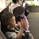 민형축사 이미지