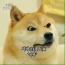 3467 이미지