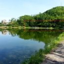 청풍낚시터 이미지