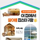 스테이모일